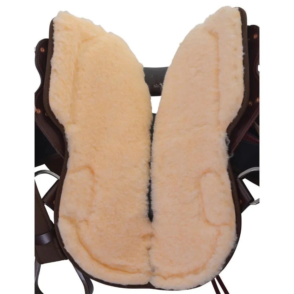 Daisetta Cordura Trail-Border